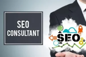 best seo consultant