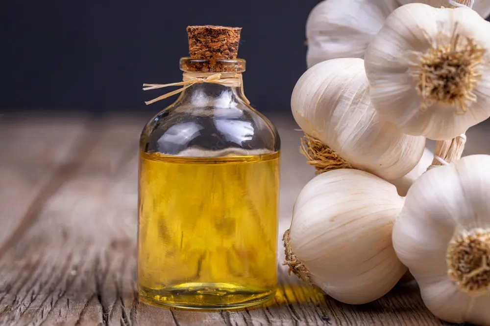 garlic oil suppliers