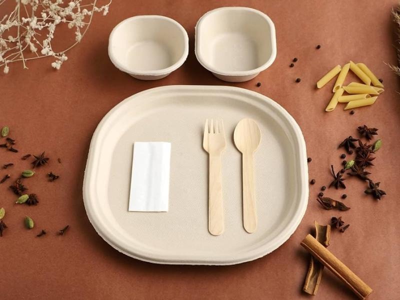 Bagasse Based Biodegradable Cutlery Manufacturing Plant