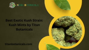 Best Exotic Kush Strain