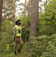 Affordable Tree Service
