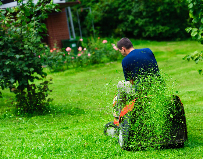 Lawn care services