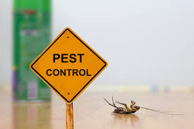 Pest Control Services