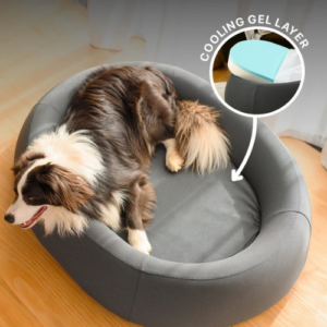 best dog beds nz