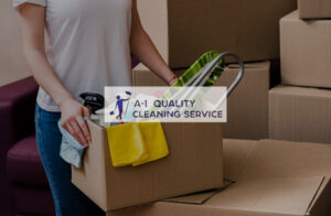 cleaning services fishers