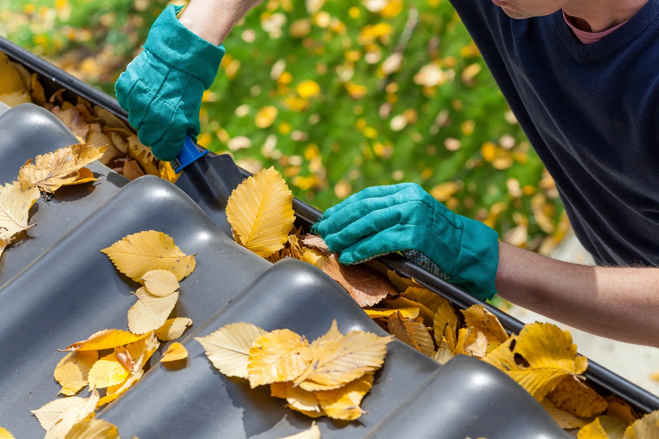 Gutter cleaning Plano TX