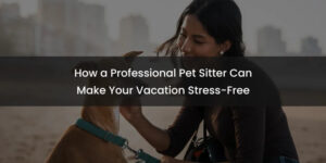 How a Professional Pet Sitter Can Make Your Vacation Stress-Free