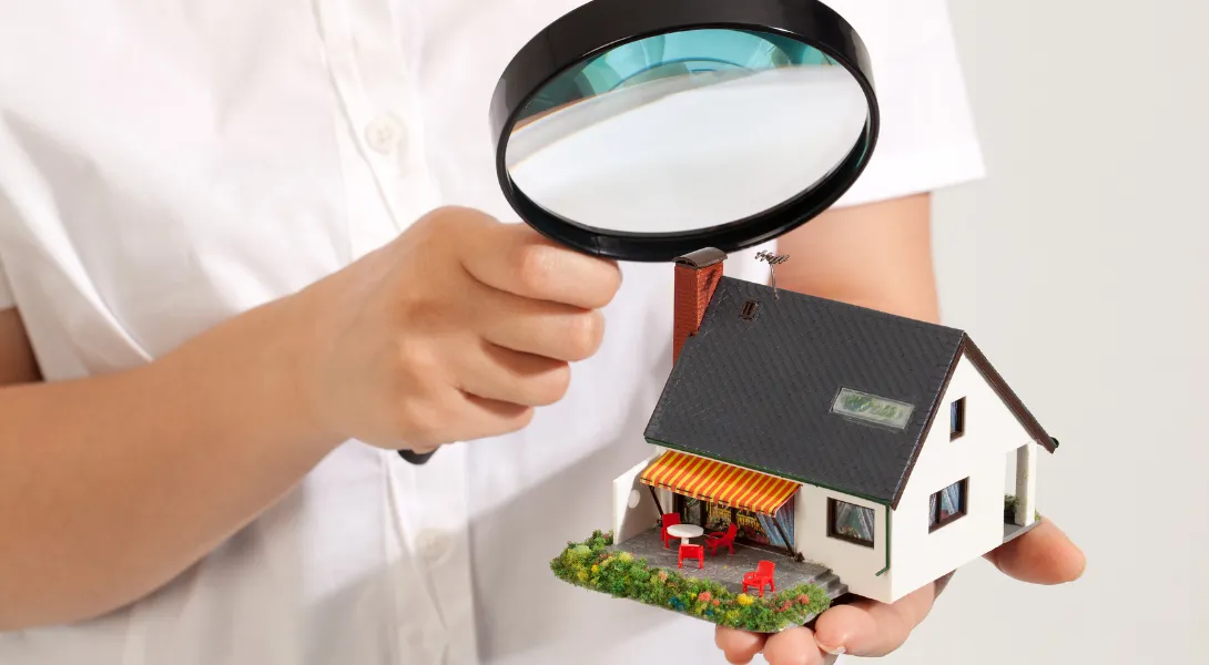 mold testing in Hidden Hills