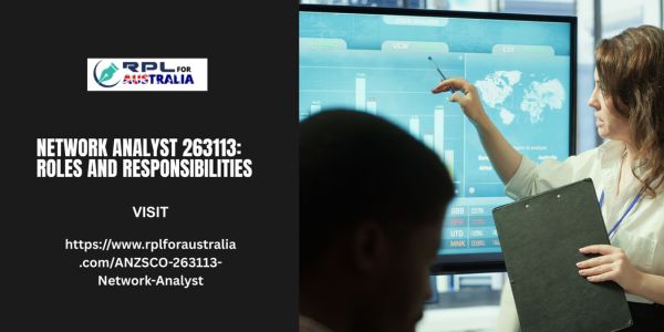 Network Analyst 263113 Roles and Responsibilities