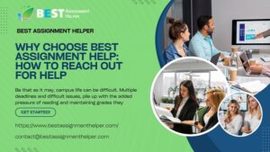 Why Choose Best Assignment Help: How to Reach Out for Help