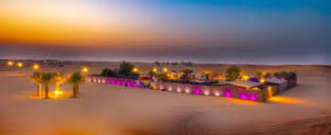 evening desert safari