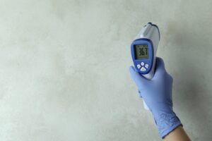 mold inspection in Florida