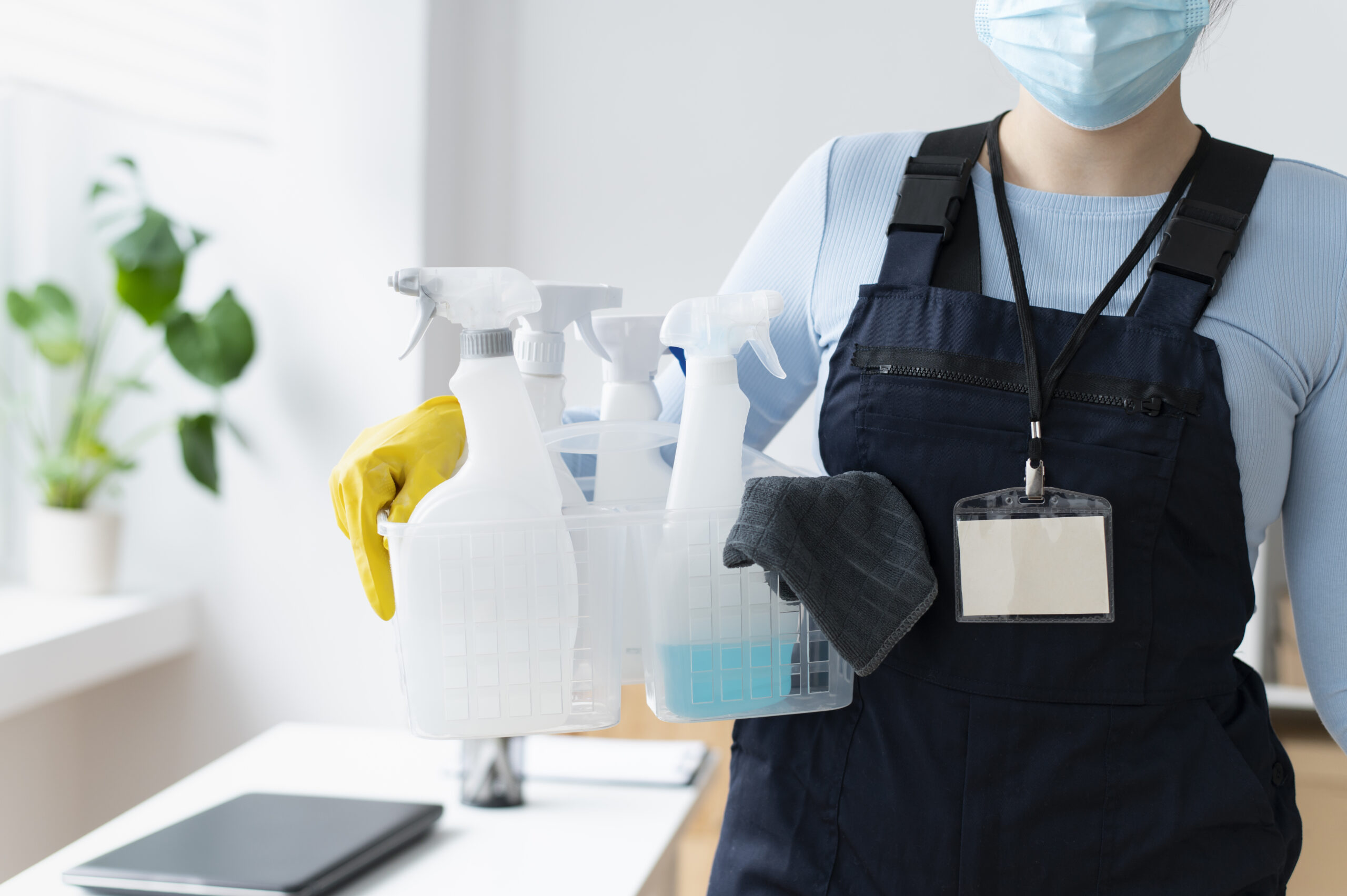 Cleaning Services Carmel