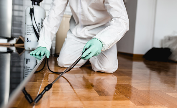 Fumigation Services in lahore