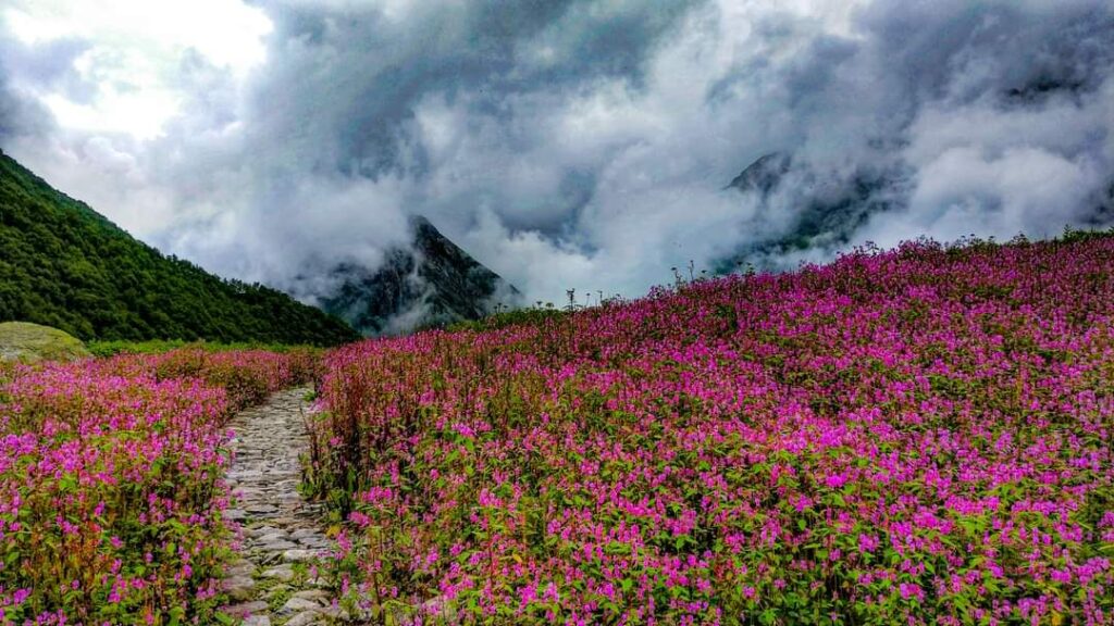 Valley of flowers Trek in Uttarakhand