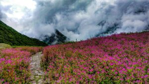 Valley of flowers Trek in Uttarakhand