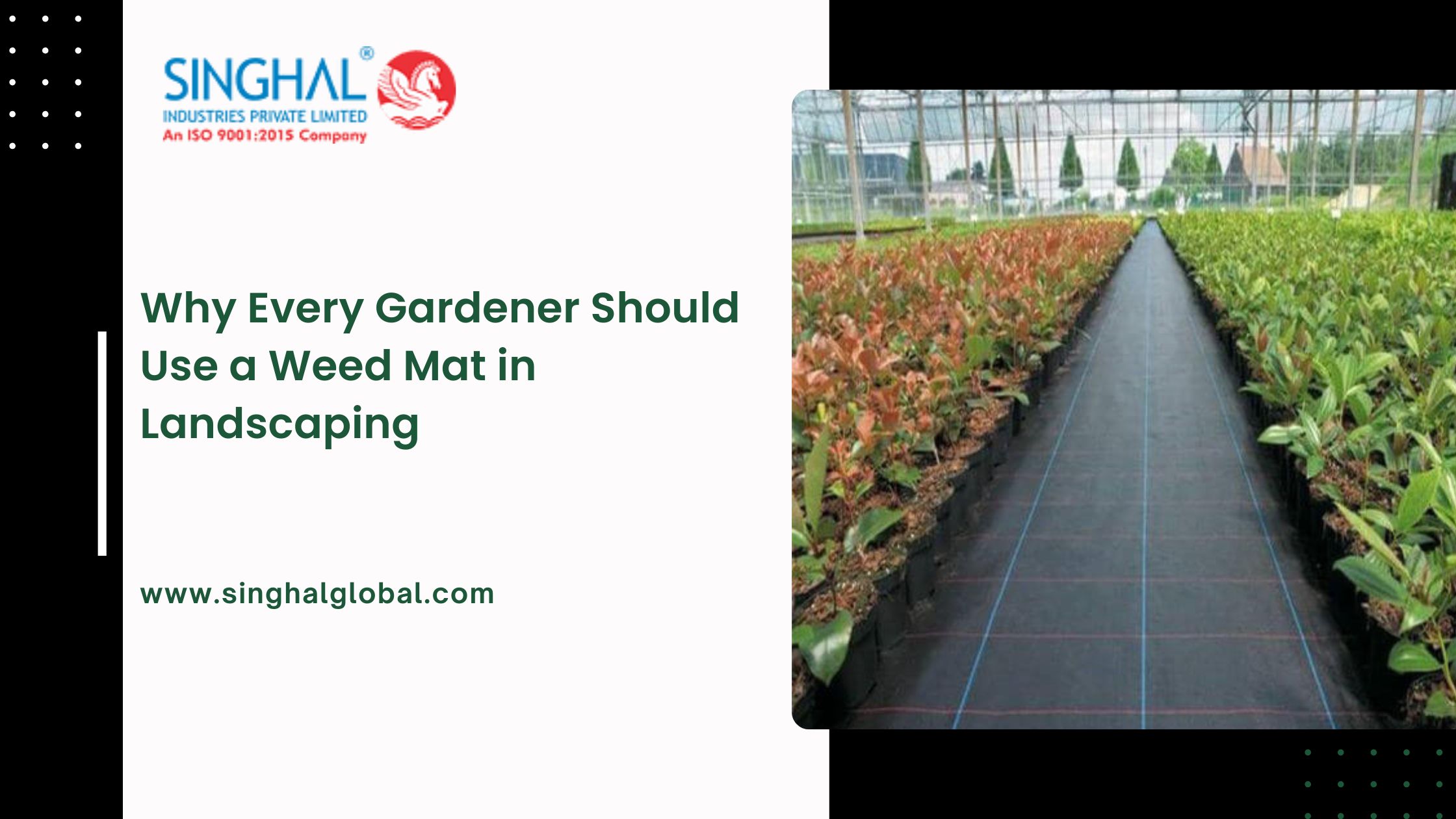 Why Every Gardener Should Use a Weed Mat in Landscaping