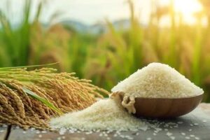 buy rice