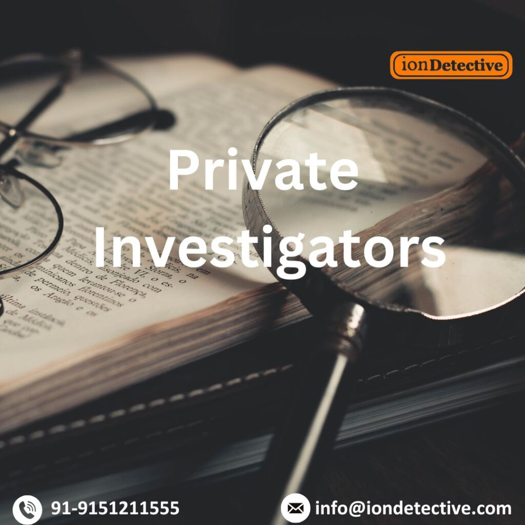 Private Investigators