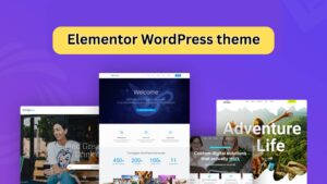 What Makes WordPress Elementor Themes Perfect for Your Next Website?