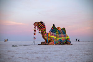 Rann Utsav Packages