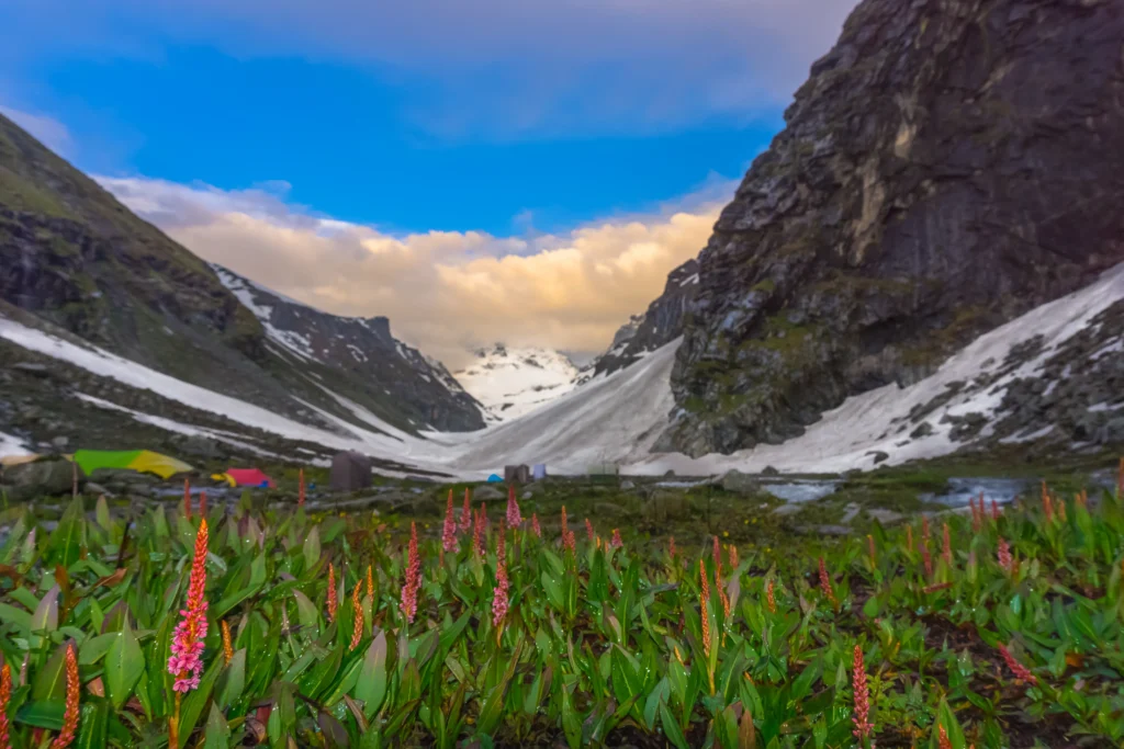 Hampta Pass Trek
