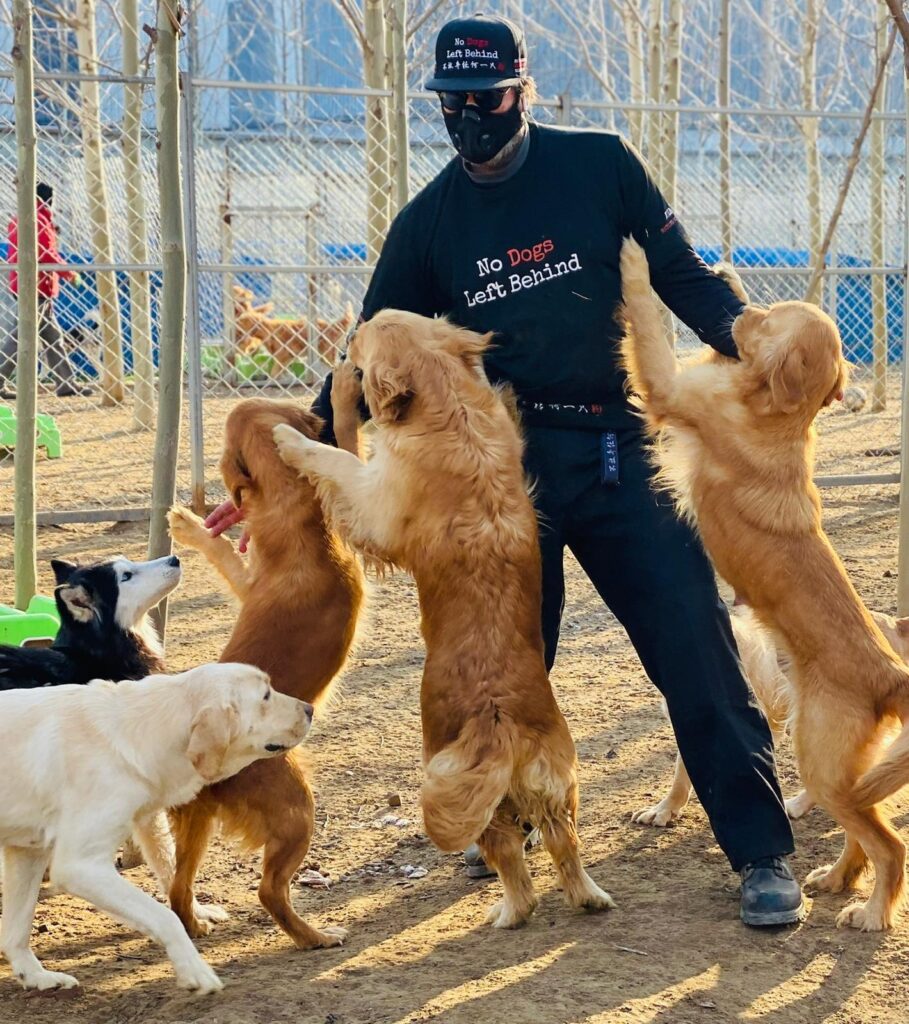 No Dogs Left Behind