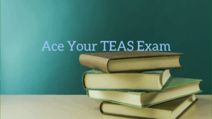 Take My Teas exam for Me