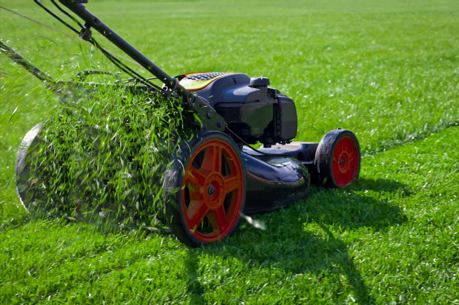 Professional gutter cleaning service in Atlanta by Eye Candy Lawn Care