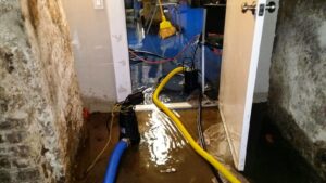 How Water Damage Restoration Can Save Your Property
