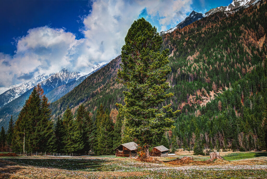 https://ghoomophirro.pk/tours/?location_name=Kumrat&location_id=9918