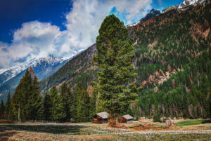 https://ghoomophirro.pk/tours/?location_name=Kumrat&location_id=9918