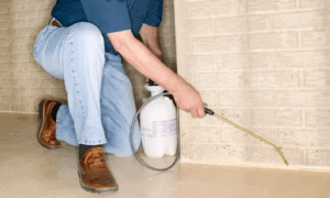 pest control school