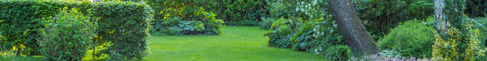 Garden Maintenance Botany