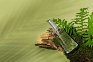 perfume deals online
