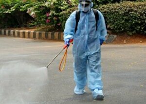 Pest Control Services in Lahore