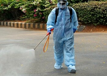 Pest Control Services in Lahore