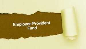 pf contribution of employer