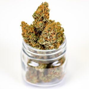 kentucky medical marijuana for cancer