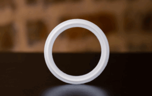 seal