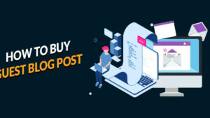 buy guest posts