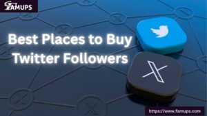 Best Places to Buy Twitter Followers