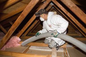 Insulation-Removal