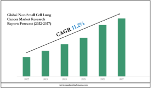 Non-Small Cell Lung Cancer Market