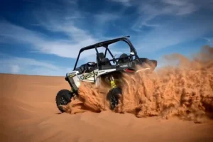 Ride the Dunes with Our Buggy Adventures