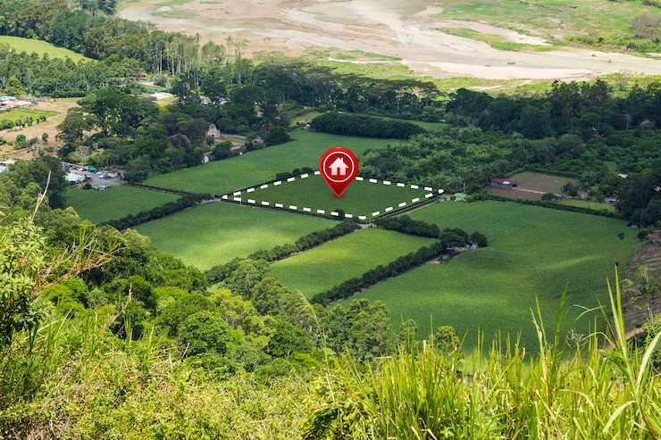 Land Surveyor Near Me
