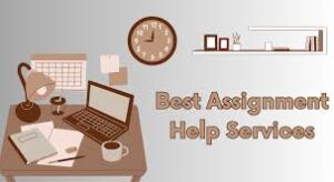 Do my assignment