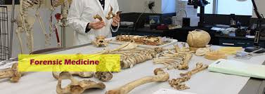 Forensic Science & Criminal Investigation