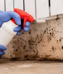 mold removal