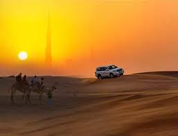 morning desert safari in dubai